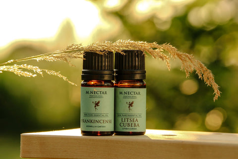 aroma3_480x480_1_.jpg